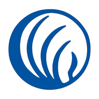Nami Logo